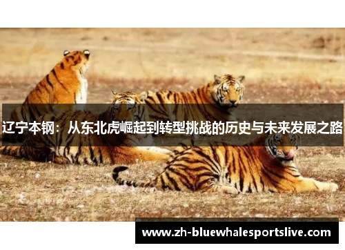 辽宁本钢：从东北虎崛起到转型挑战的历史与未来发展之路